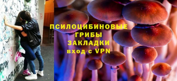 метадон Алексин