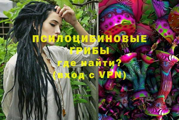 мяу мяу мука Алзамай